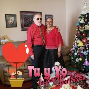 Meet your Posher, Rosa